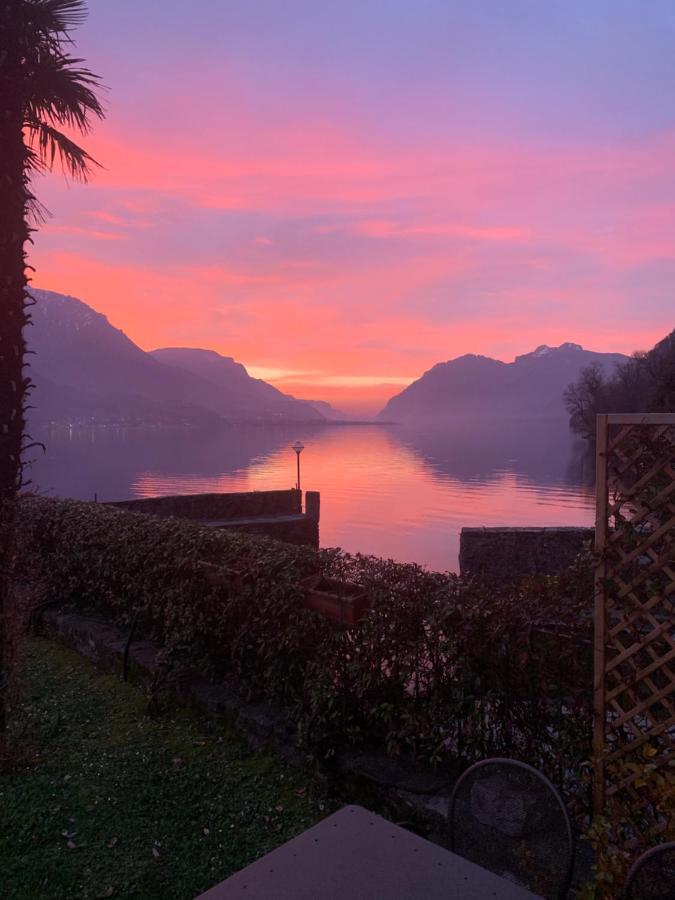 Terrace On The Lake Apartment Oliveto Lario Exterior photo